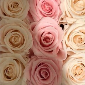 Meet your Posher, Janet